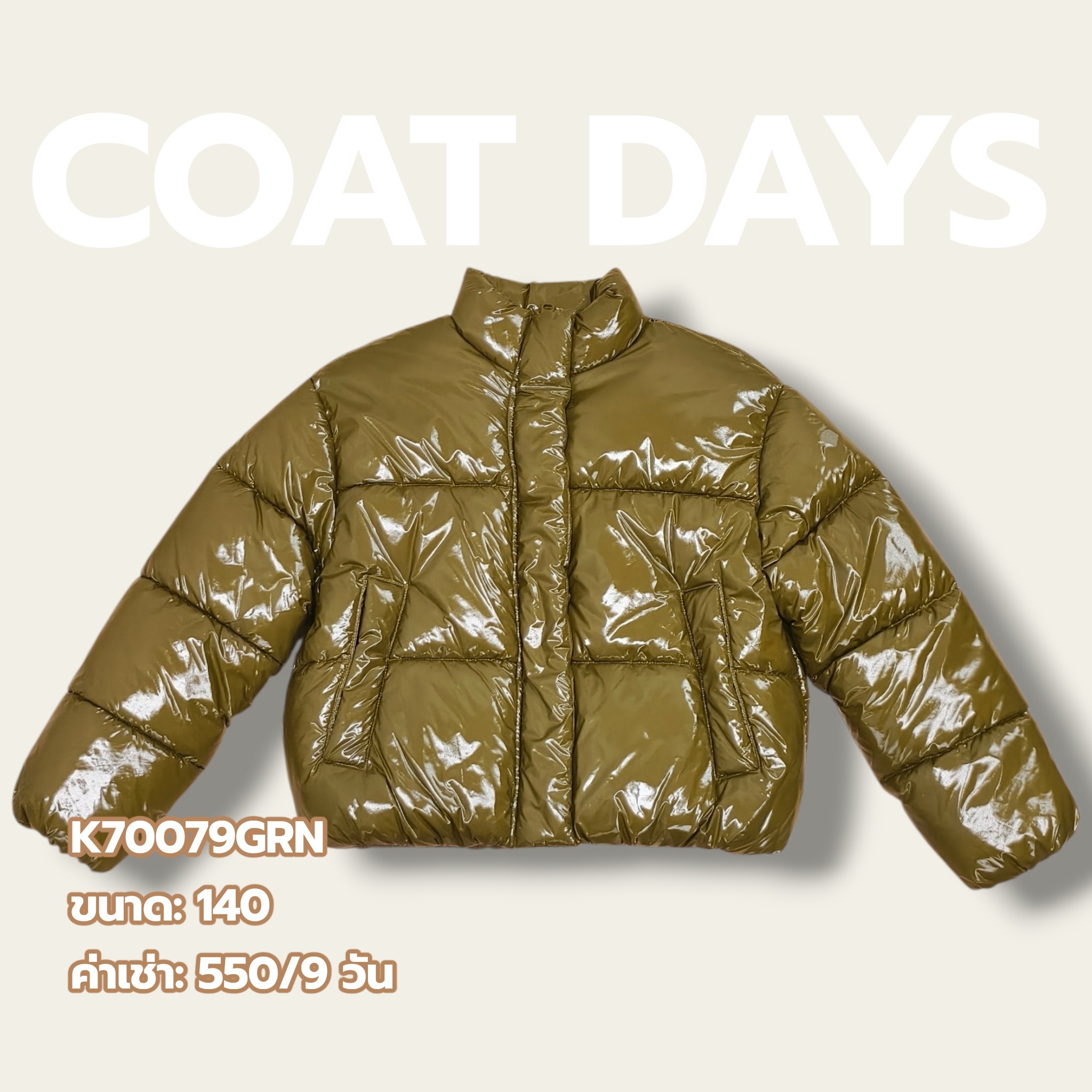 ZARA Down Jacket คอตั้ง Metallic